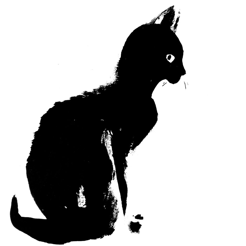 Inky Cat by Viviane Schwarz